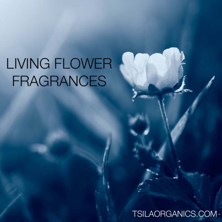 Why Wear Organic Perfumes? Because Mother Nature Knows Best