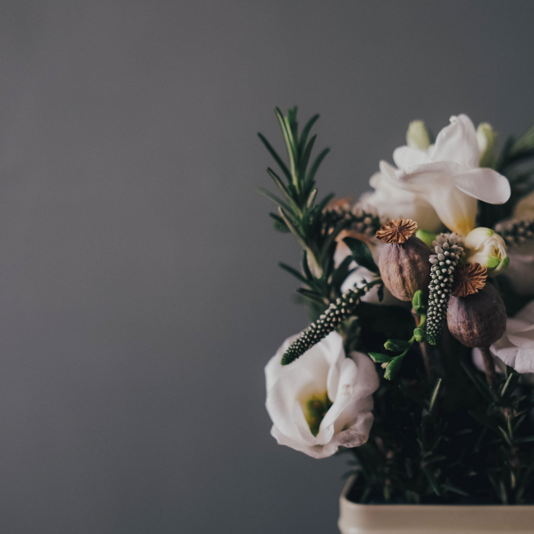 Mother’s Day + Mother Earth