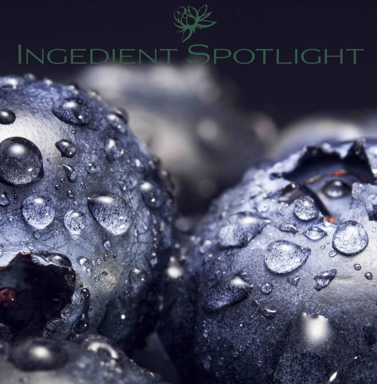 Need Something Super? Blueberry Extract