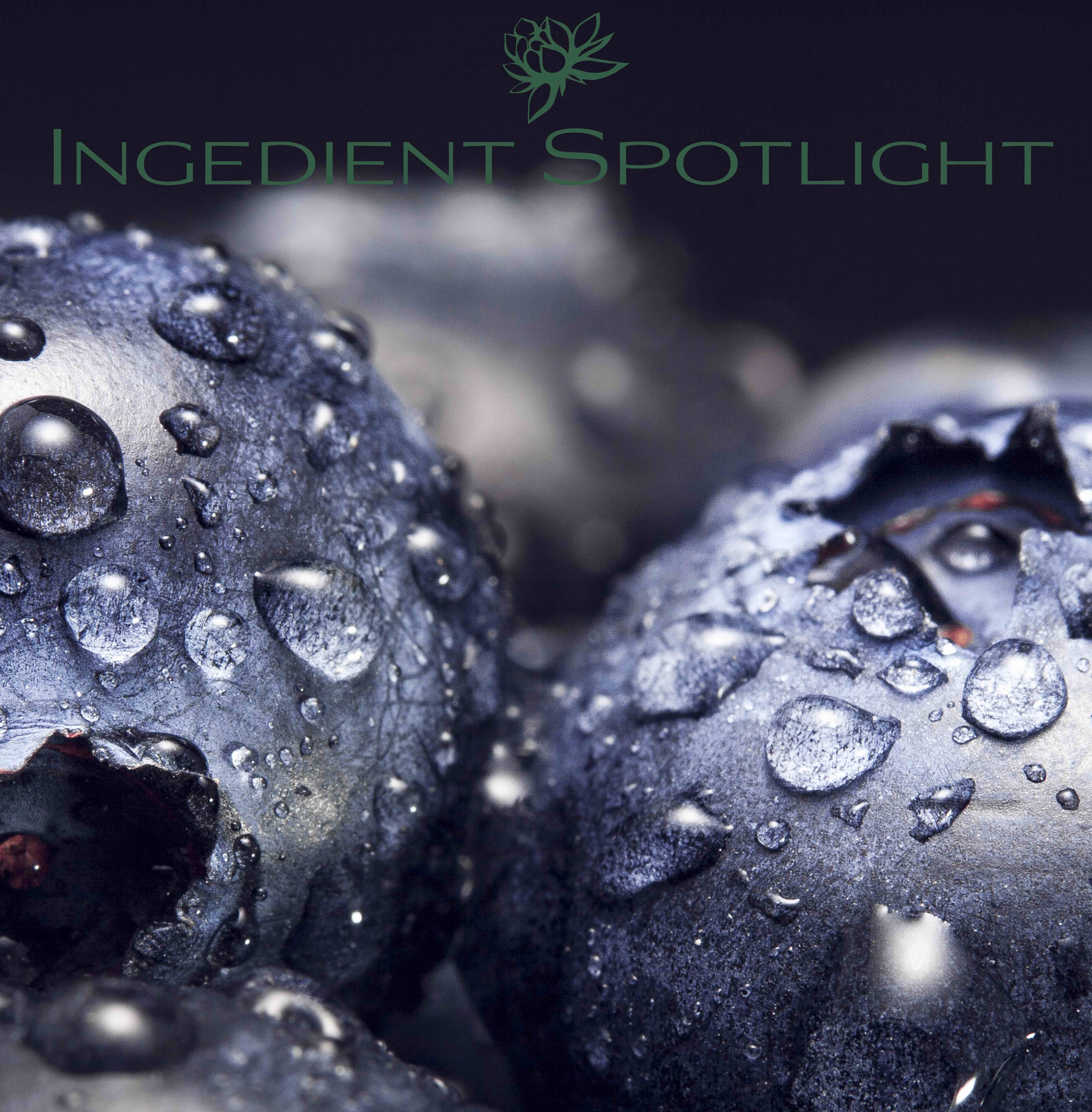 Need Something Super? Blueberry Extract