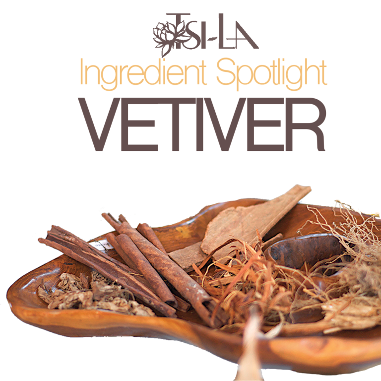 Vetiver: 3,000 Year-Old Essential Oil and Remedy