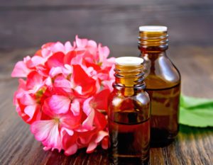 geraniums and natural perfume oils